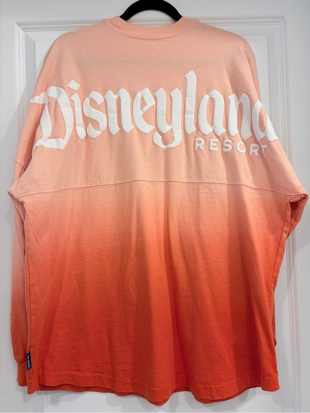 Disneyland Ombre Spirit Jersey